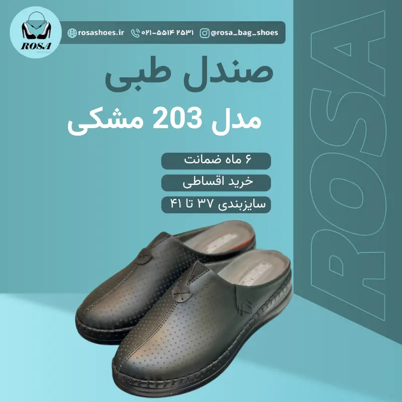 Copy-of-Your-paragraph-text24 (1) صندل طبی زنانه مدل 203 مشکی - تصویر 1